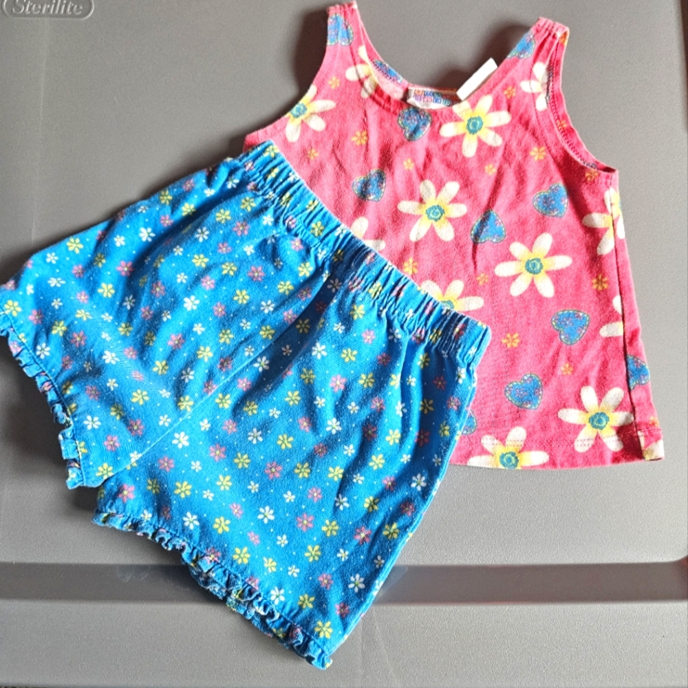 Baby's Pink and Blue Small Steps Floral Summer Set
